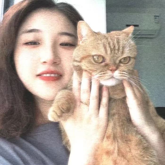 高清图纸1